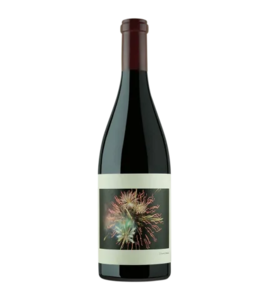 Chanin - Sanford & Benedict Vineyard Pinot Noir 2020