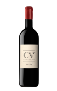 Van Zellers & Co CV - Curriculum Vitae 2022