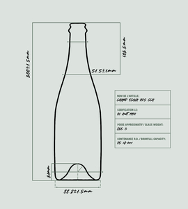 Domaine Vincent Cornin - M�con-Chaintr� 'Alcyom�e' 2023