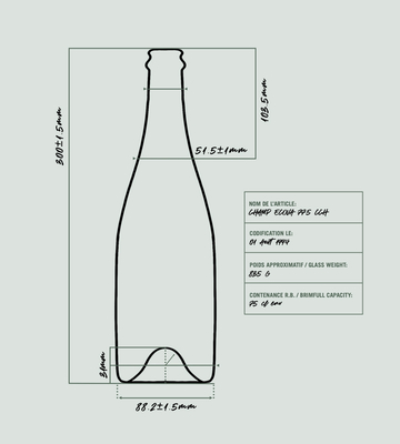 Domaine Vincent Cornin - M�con-Chaintr� 'Alcyom�e' 2023